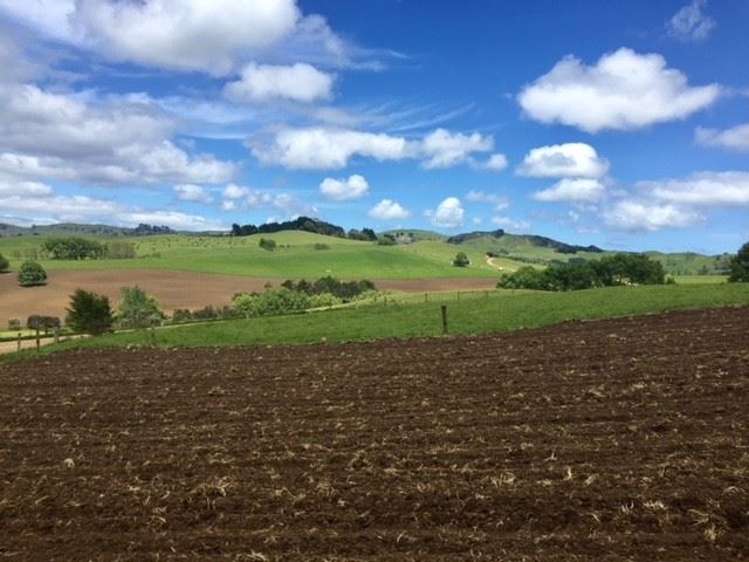 272 Broughton Road Ruawaro_34