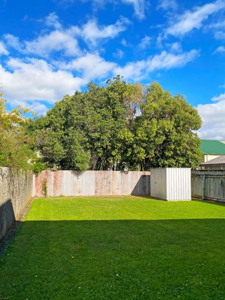50a Rata Street Roslyn_5