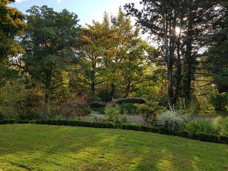 15 Terrace Street Putaruru_19