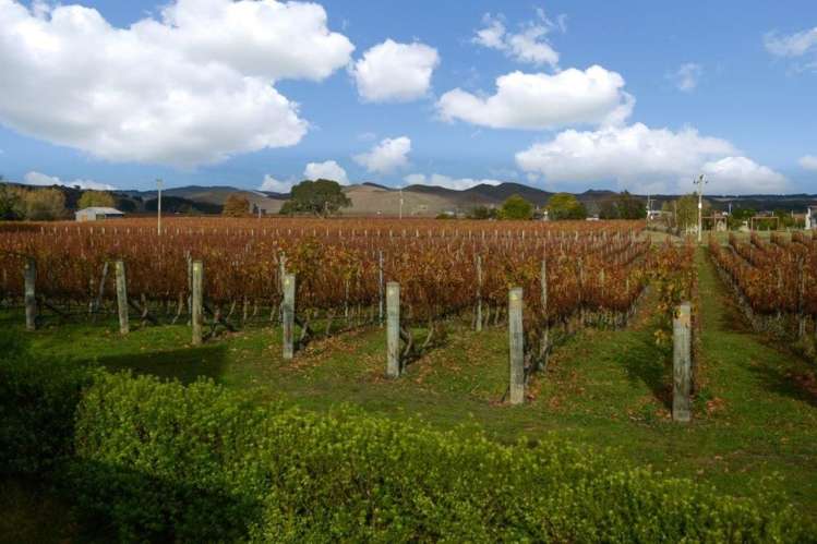 214 Ngatarawa Road Bridge Pa_12