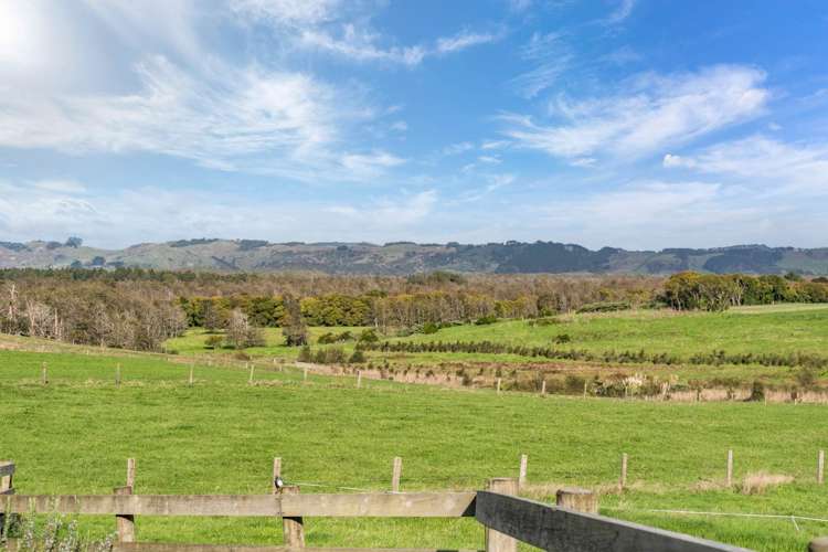 467 Aka Aka Road Aka Aka_33