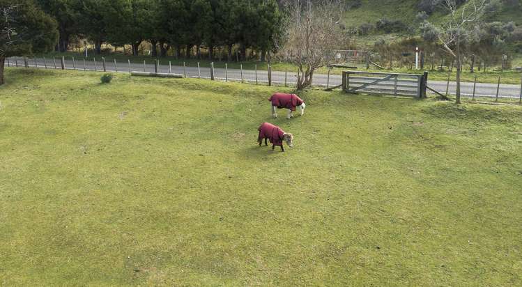 541 South Makara Road Makara_44