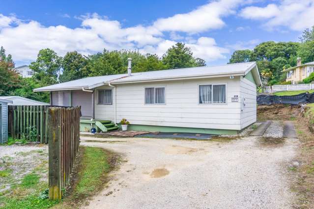 Easy Living on Seddon Street - 25B Seddon Street