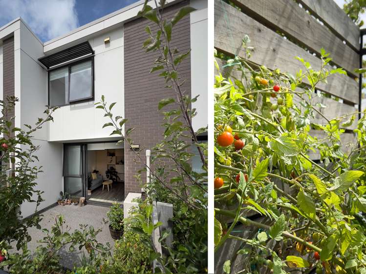 24/10 Rex Street Riccarton_6