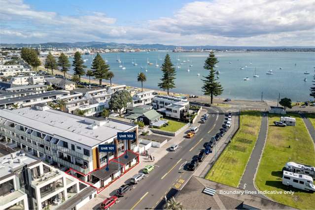 101 - 102/6 Adams Avenue Mt Maunganui_3