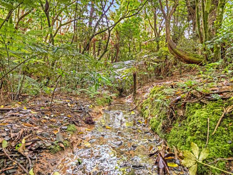 116 Moumoukai Road Hunua_32