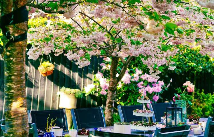 24 Date Crescent Aidanfield_25