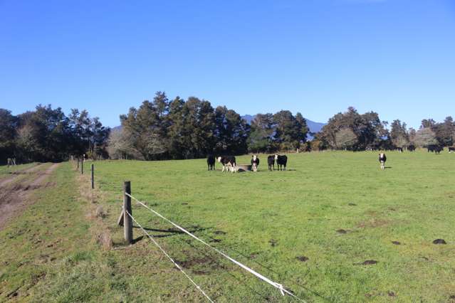 449 Kopuriki Road Murupara Surrounds_4