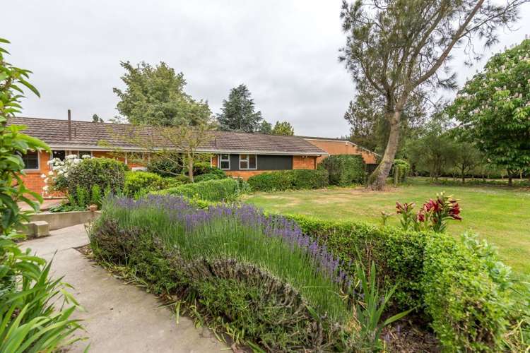 439 Dawsons Road Templeton_22