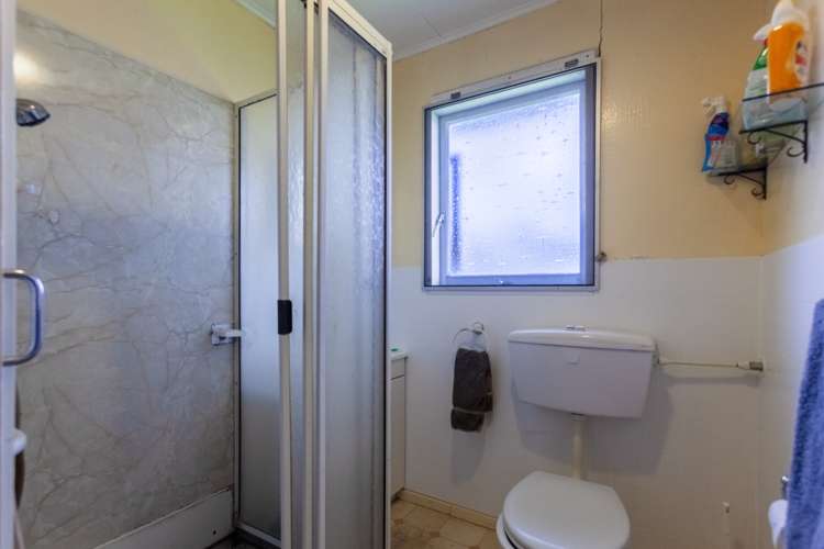 37 Bristol Street Tamatea_10