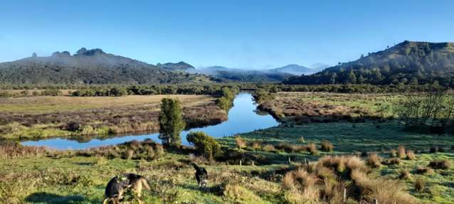 A Rare Opportunity in the Hokianga