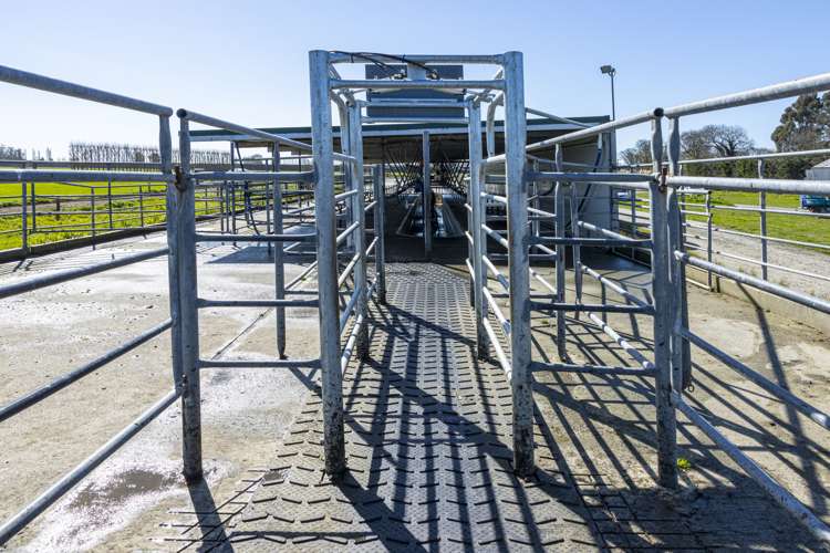 94 Brogdens Road Lowcliffe_14