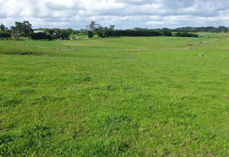 757 Glenbrook Road Kingseat_3