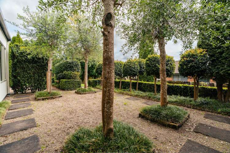 14 Norm Freeman Drive Te Puke_5