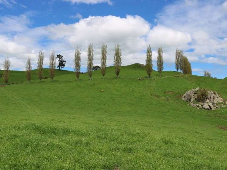 196 Hildreth Road Arapuni_2