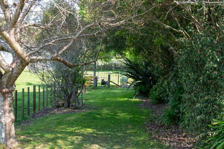 1054 Maraetotara Road Maraetotara_11