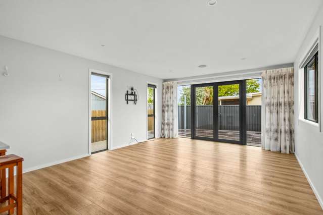 34a Killarney Street Alexandra_4