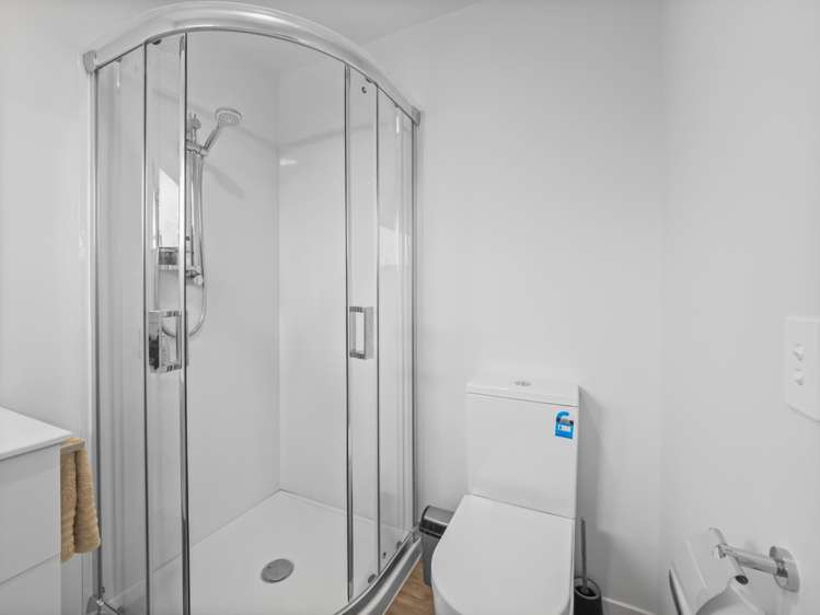 20 David Street Hinds_14