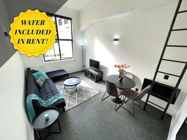 Fully self contained north facing Manhattan loft