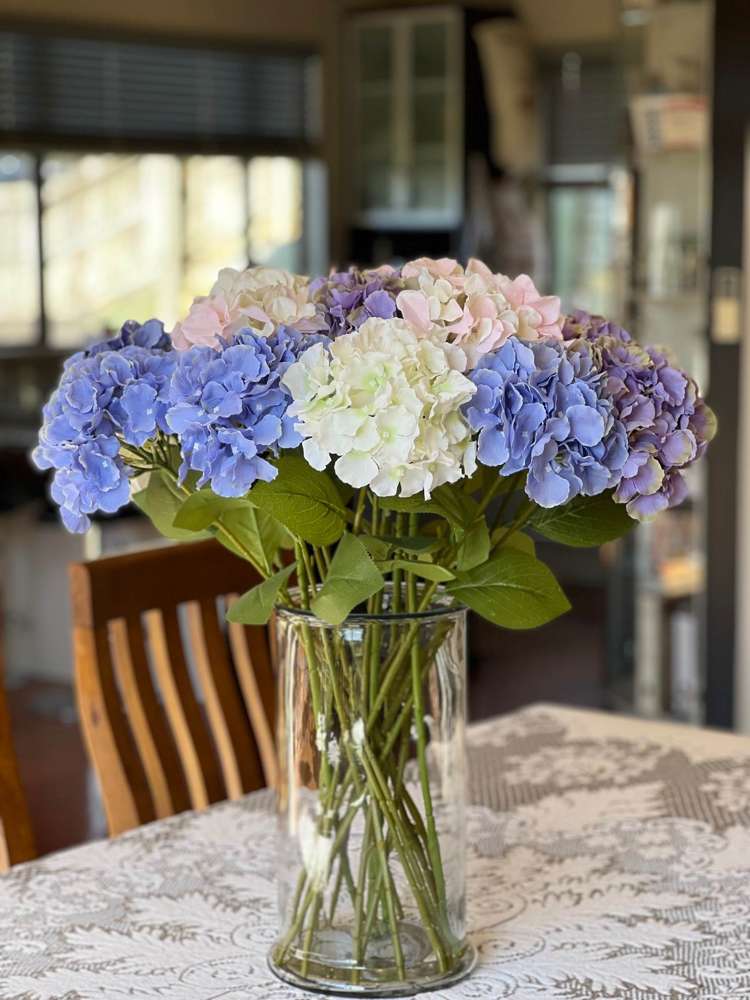 66 Aberley Road Schnapper Rock_19