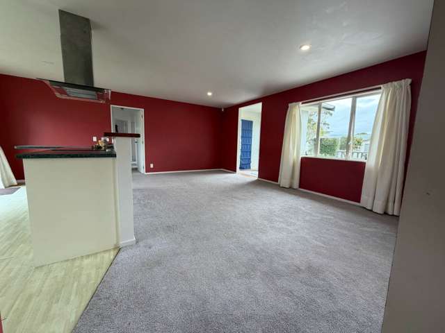 291A Vipond Road Stanmore Bay_4