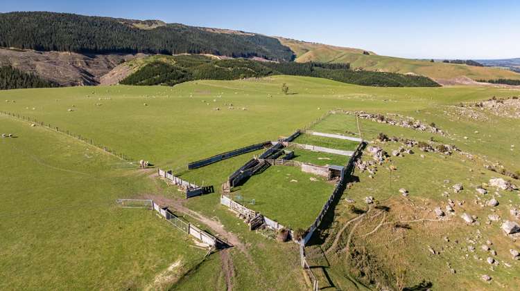 614 Omihi Road Omihi_5