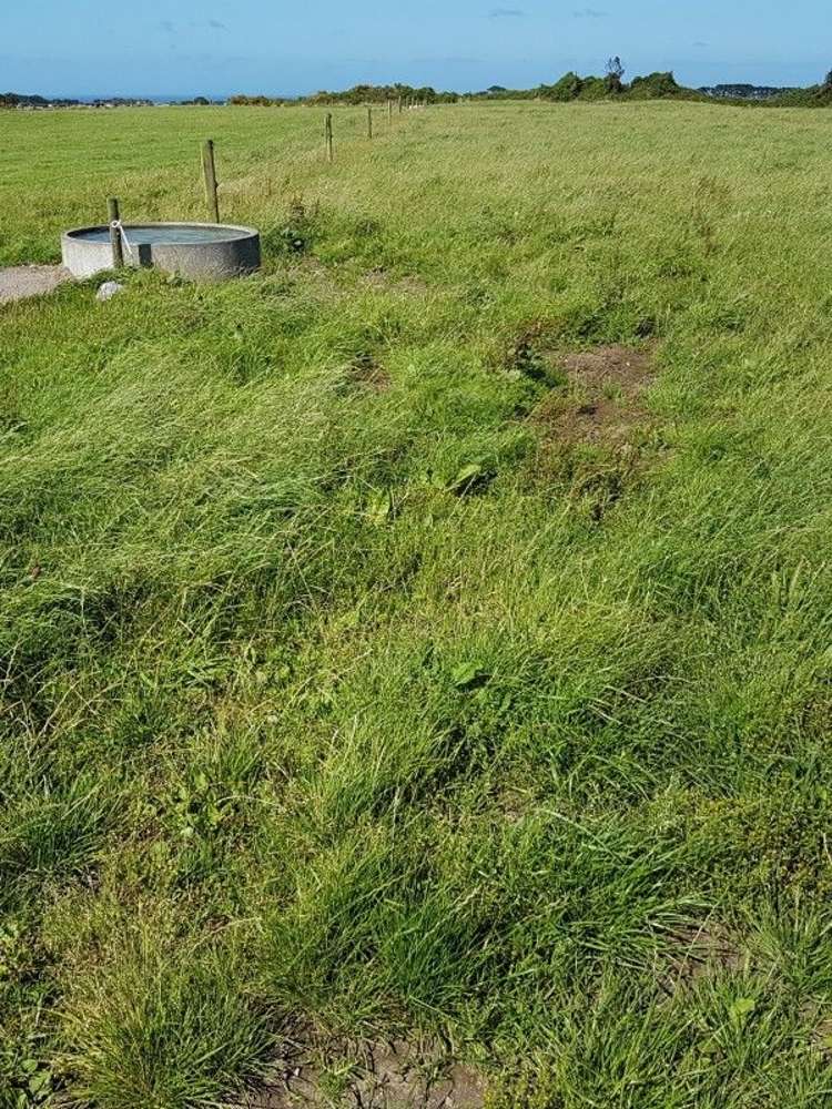 349 Ihaia Road Opunake_32