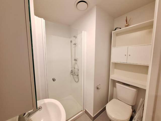 8M/147 Hobson St 10015_4