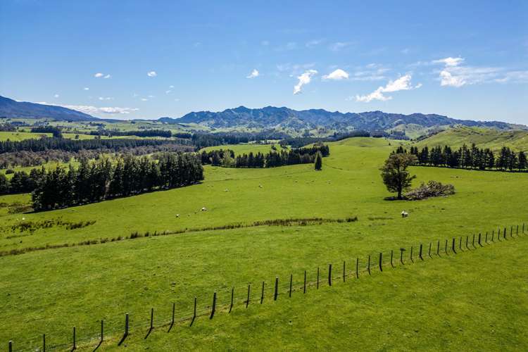 21 Carson Road Ongaonga_4