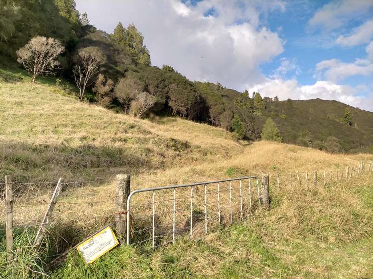 60 Tongaporutu-Ohura Road Ahititi_2