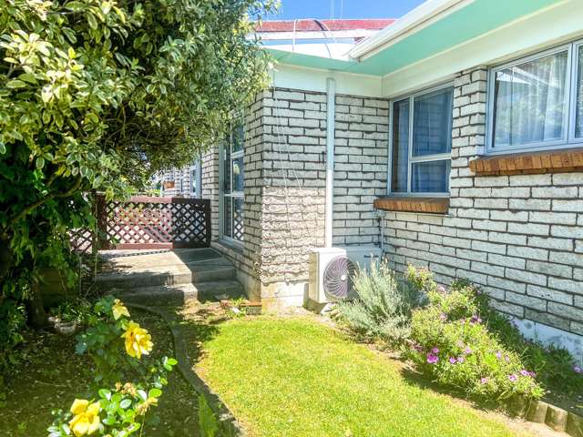 412B Willoughby Street Thames_1