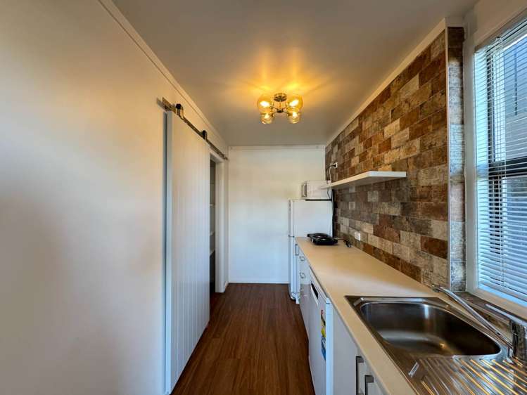 49 Frederick Street Hillsborough_5