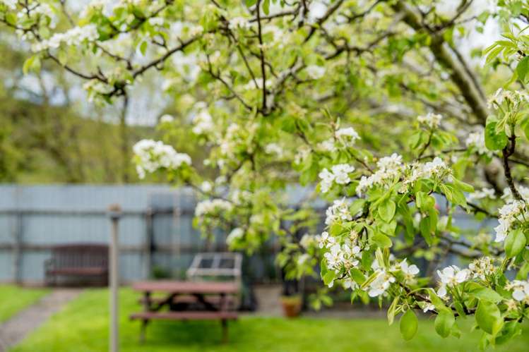 20 Waldron Crescent Green Island_28