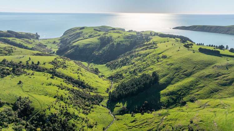 80-90 Seftons Road Little Akaloa_2