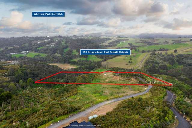 110 Griggs Road East Tamaki Heights_4