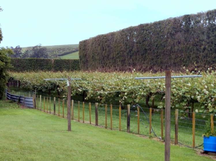 71 Waihi Beach Road Waihi_9