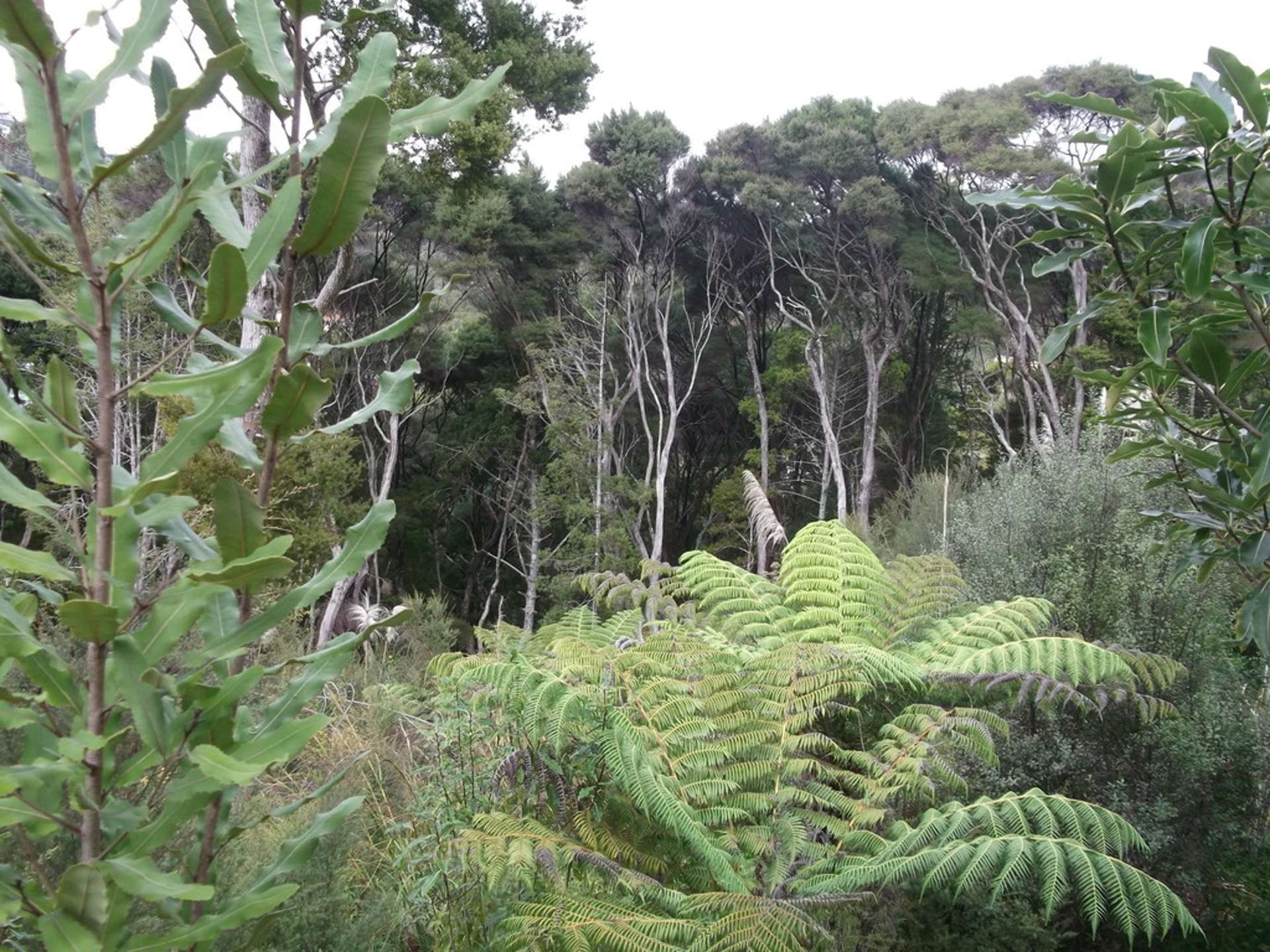 4 Island View Close Paihia_0