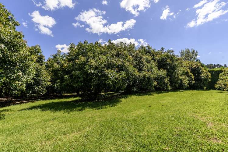 89b Snodgrass Road Te Puna_24