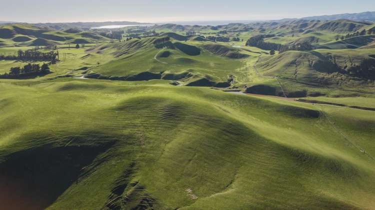 285 Grassmere Road Lake Grassmere_30