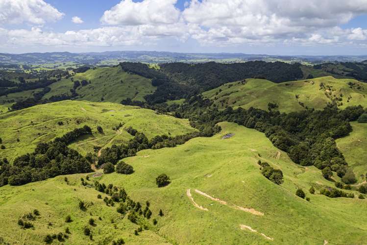 632 Marlow Road Maromaku_30