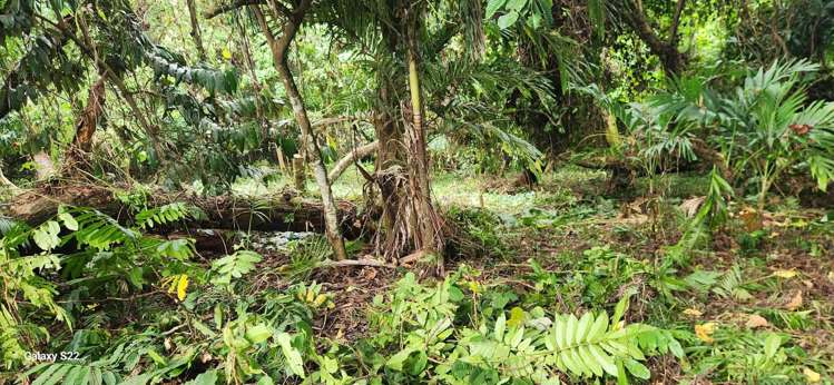 Lot 11 Raintree Estate, Oneva Savusavu_12