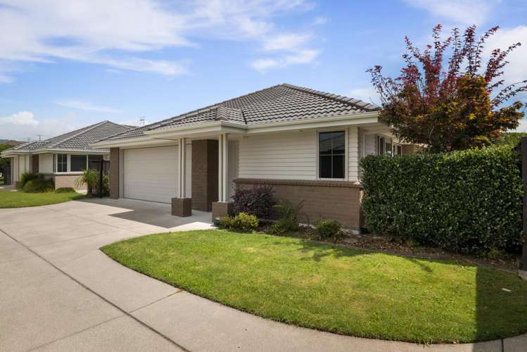 4/46 Sharp Road Katikati_19
