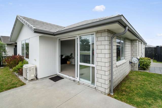 8 Lion Place Papamoa_1