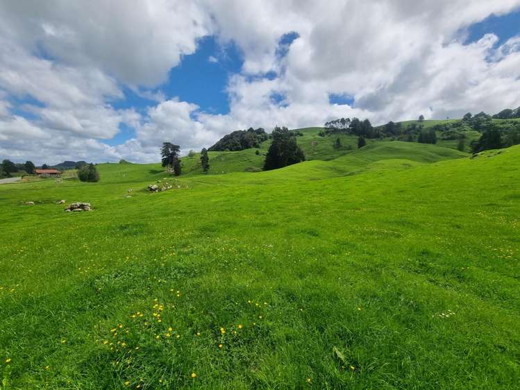 Lot (Rural)/1246 State Highway 3 Piopio_9