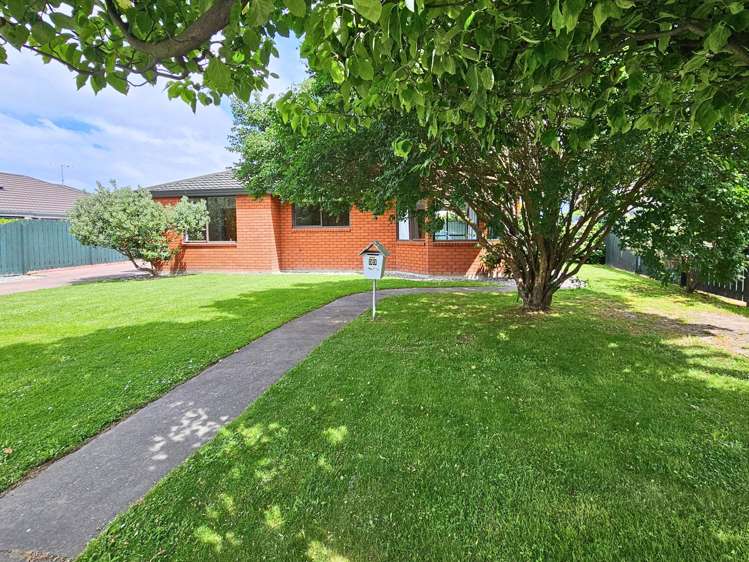 33 Adams Lane Springlands_10