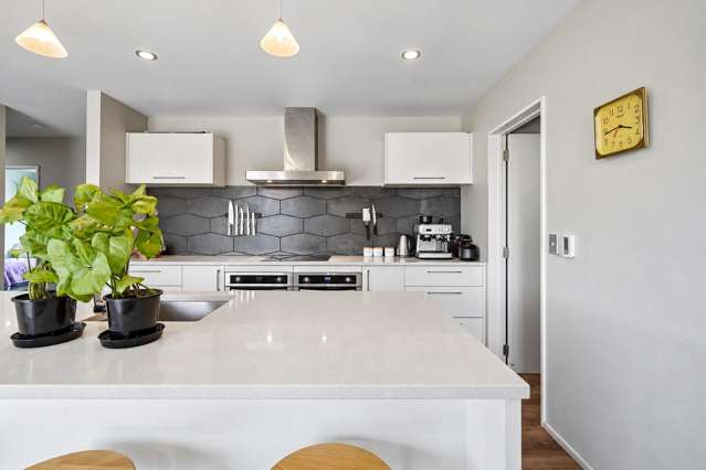 166 Swamp Road Loburn_2