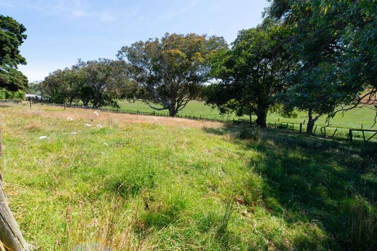 603 Te Akau South Road Te Akau_11