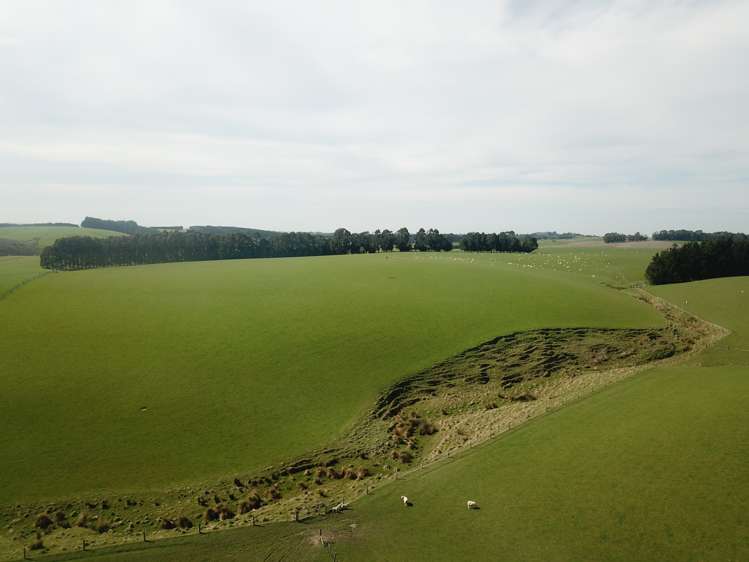 20 Carruthers Road Pomahaka_11