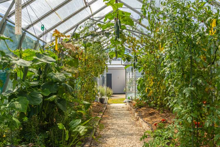 36 Kent Street Picton_22