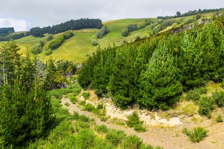 226 Middle Road Pigeon Bay_19